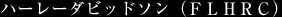 ハーレーダビッドソン(FLHRC)