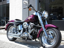 HARLEY−DAVIDSON FLSTF