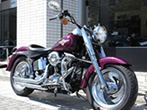 HARLEY−DAVIDSON FLSTF